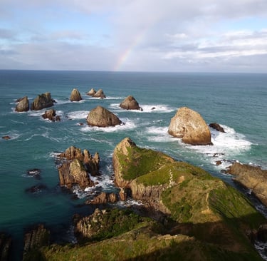 Nugget Point view