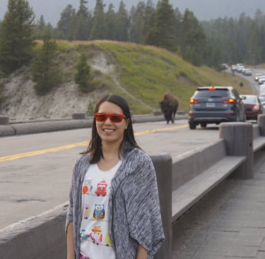 Bison slowing down traffic in Yellowstone