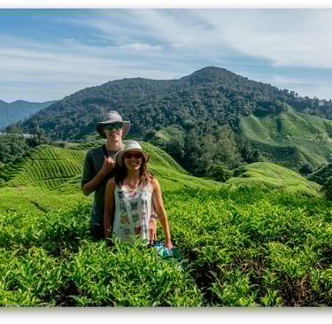Cameron Highlands Malaysia