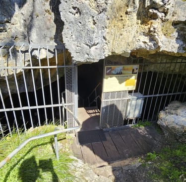 Calgardup Cave Entrance