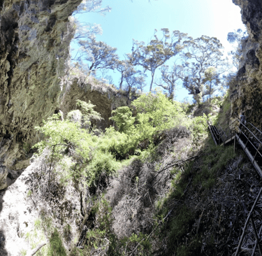 Stairs back up to the Surface