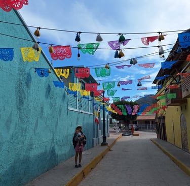 La Noria Decorated Street