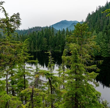 Overlooking Petgill Lake
