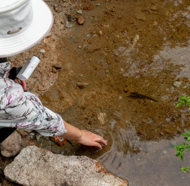 Janet spotting a newt in Petgill Lake