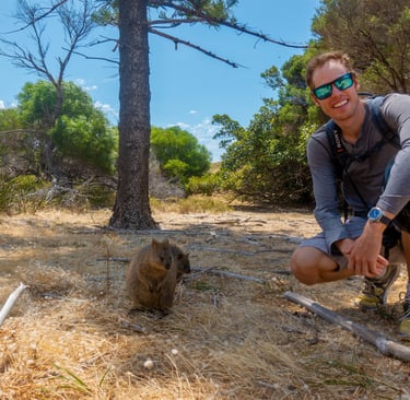 Some quokkas on Rottnest Island