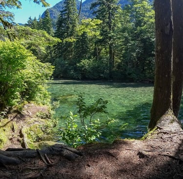 Trail along the riverbank