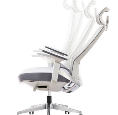 Executive-Swivel-Chair, Sensit Valora, Synchron Mechanism