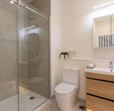 Bathroom Renovation Newtech