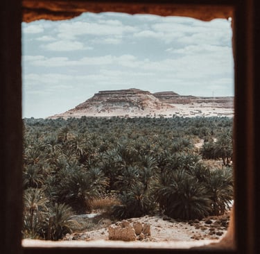 Siwa Oasis, Matrouh Governorate, Egypt, courtesy of Dajana Reçi on pexels