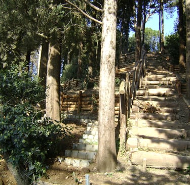 Scale in legno e pietra: accesso sicuro e naturale lungo il pendio.