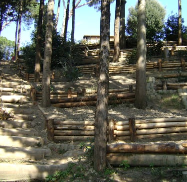 Strutture integrate con la vegetazione: il lavoro si fonde armoniosamente con l’ambiente boschivo.