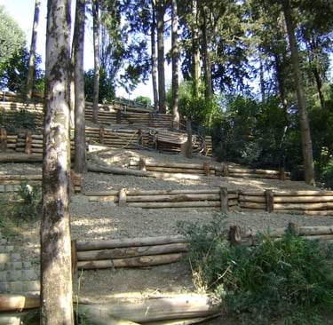 Terrazzamenti in legno: soluzioni per ridurre l’erosione e stabilizzare il pendio.