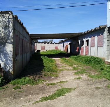 a dirt road with a bridge over a road