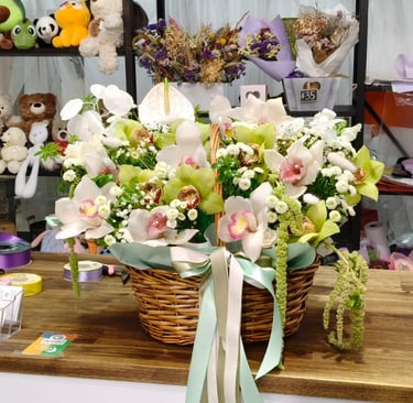 white orchid basket arrangement Camellia & Co Mt Roskill florist