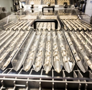 Capsuleproductie van 4Life supplementen, nauwkeurige verwerking van transfer factor in GMP-gecertificeerde fabriek