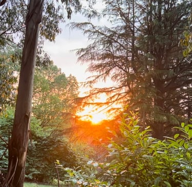 Sunset in the town of Toolangi, Victoria, Australia