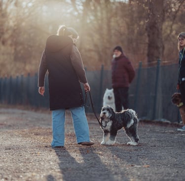 Während der Hundeschule - Kundin arbeitet mit ihrem Tibet-Terrier