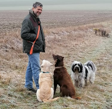 Martin beim Gassi mit 3 Hunden.
