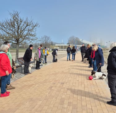 Hundetraining auf der Strandpromenade am Südstrand auf Fehmarn