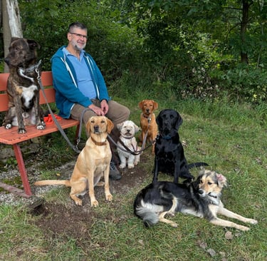 Martin Lindhof auf einer Bank am Waldrand mit sechs Hunden. Pause beim Gassigang.