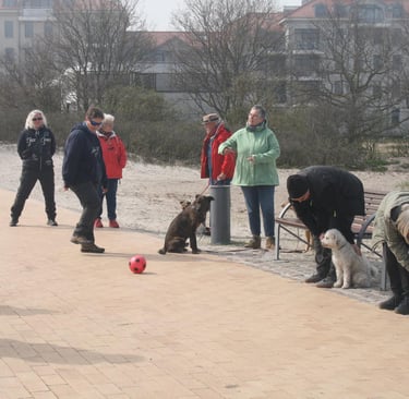 Marion mit Kunden beim Training am Südstrand auf Fehmarn