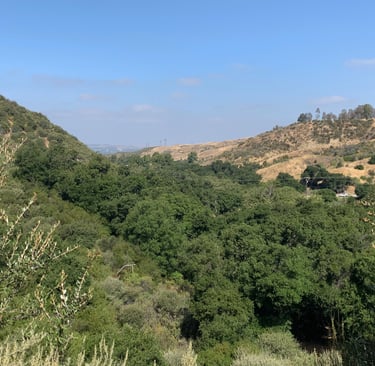 an image of Placerita Canyon