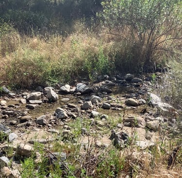 an image of a stream
