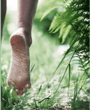a person walking on the grass with their feet in the grass at Wellness retreat in Chiapas Mexico