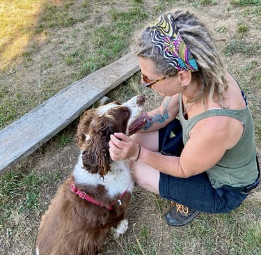 éducation positive, chien qui regarde l'éducateur canin