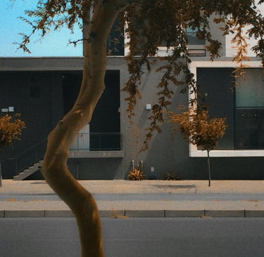 Nature as connection to past