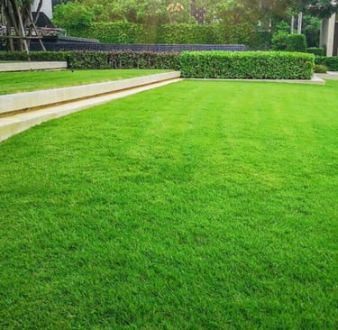 Entretien de jardins DG Services à Neuchâtel - tonte, taille et aménagement paysager durable