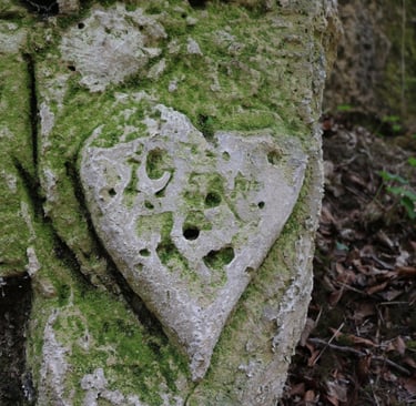 installation poêle à bois