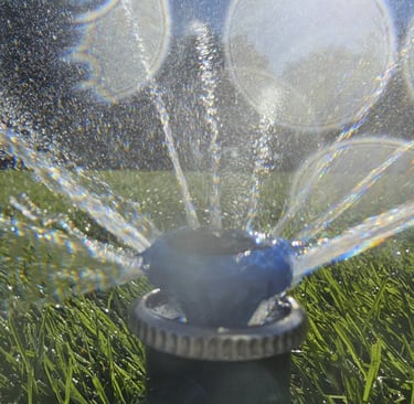 Une "MpRotator" en action, une tuyère économe en eau 