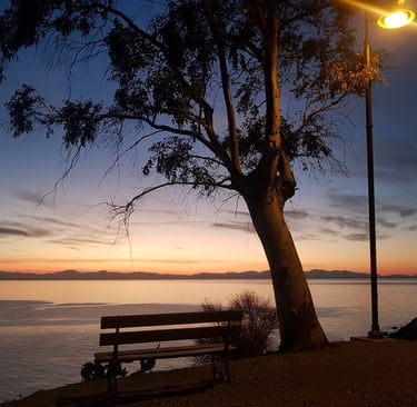 a bench with a bench and a bench in the foreground
