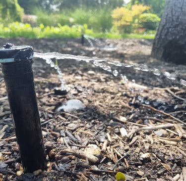 a sprinkled sprinkles in the ground