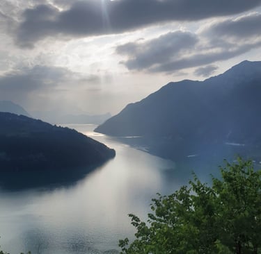 a view of a lake and mountains in the distance