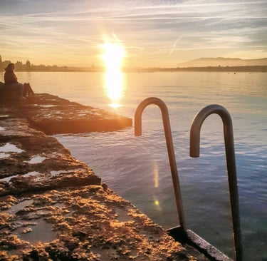 a pair of metal railings with a sunset in the background