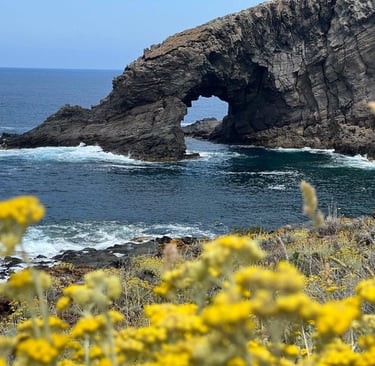 Elephant Arch in Pantelleria, natural rock formation with trunk dipping into the sea