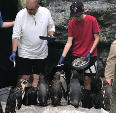 Ed & Eddie feeding the Penguins