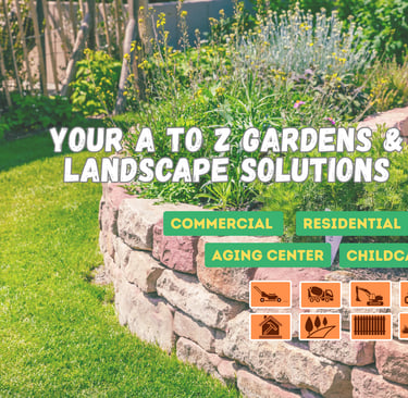 Verdant Path Tasmania