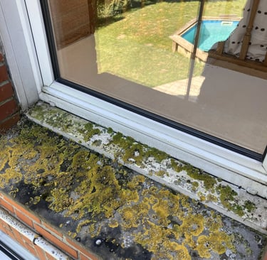 Seuil et encadrements avant nettoyage par nord vitres