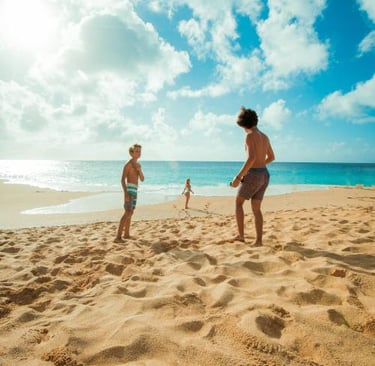 Jellyfish, Marine Debris, Poor Water Quality and Other Beach Hazards