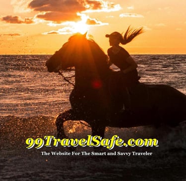 Travel Safety Tips from 99TravelSafe.com - The Website for The Smart and Savvy Traveler!