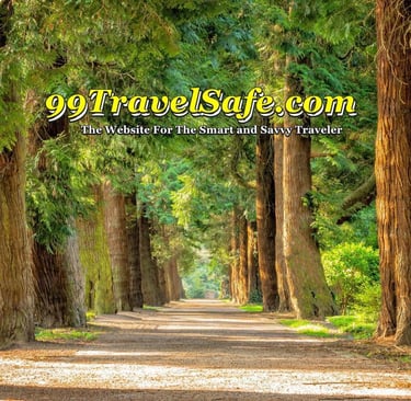 Travel Safety Tips from 99TravelSafe.com - The Website for The Smart and Savvy Traveler!