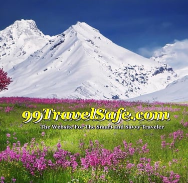 Travel Safety Tips from 99TravelSafe.com - The Website for The Smart and Savvy Traveler!