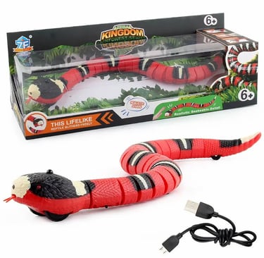 Smart Sensing Snake