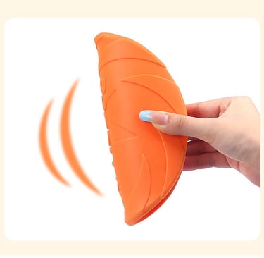 Dog Frisbee