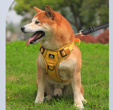 Dog Harness