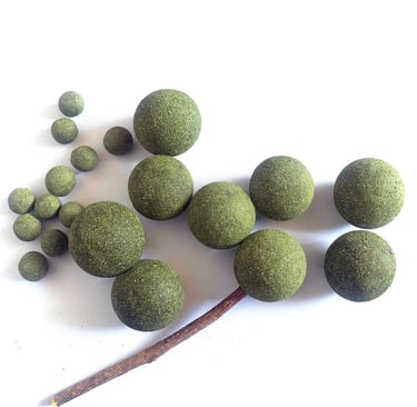 Catnip Ball
