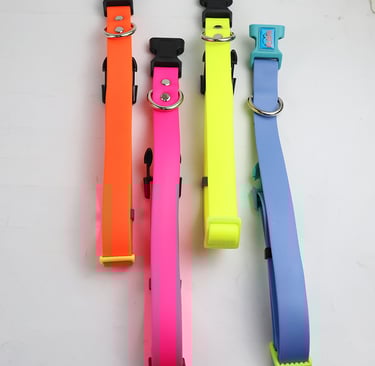 Dog Collar